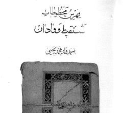 Photo of فهرس مخطوطات شنقيط ووادان / أحمد ولد محمد يحي