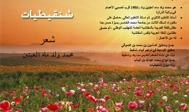 Photo of ديوان شنقيطيات / محمد بن ماء العينين