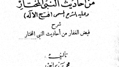 Photo of فتح الإله شرح فيض الغفار / محمد بن أحمد الشنقيطي