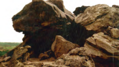 Photo of الرحيق المصفى في وصف طريق هجرة المصطفى / عبد الله بن مصطفى الشنقيطي