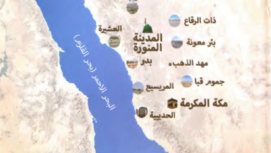 Photo of المقتفى من غزوات وسرايا المصطفى / عبد الله بن مصطفى الشنقيطي