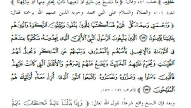 Photo of البيان في الناسخ والمنسوخ من السنة والقرآن / محمد بن الدناه الأجودي